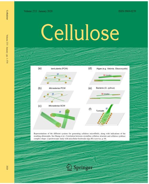 Cellulose cover January 2020 issue