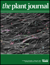 Plant Journal cover January 2018 vol 93 issue 2