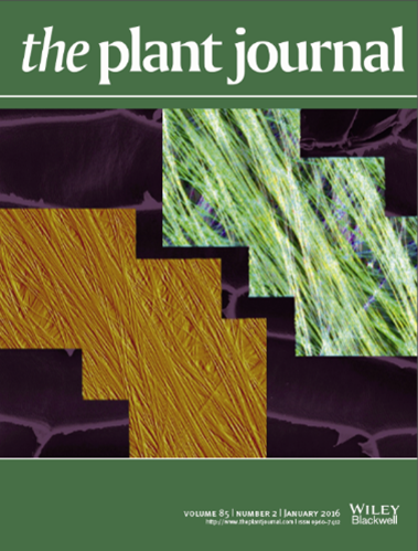 Plant Journal cover January 2016