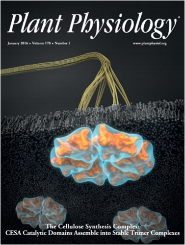 Plant Physiology cover January 2016