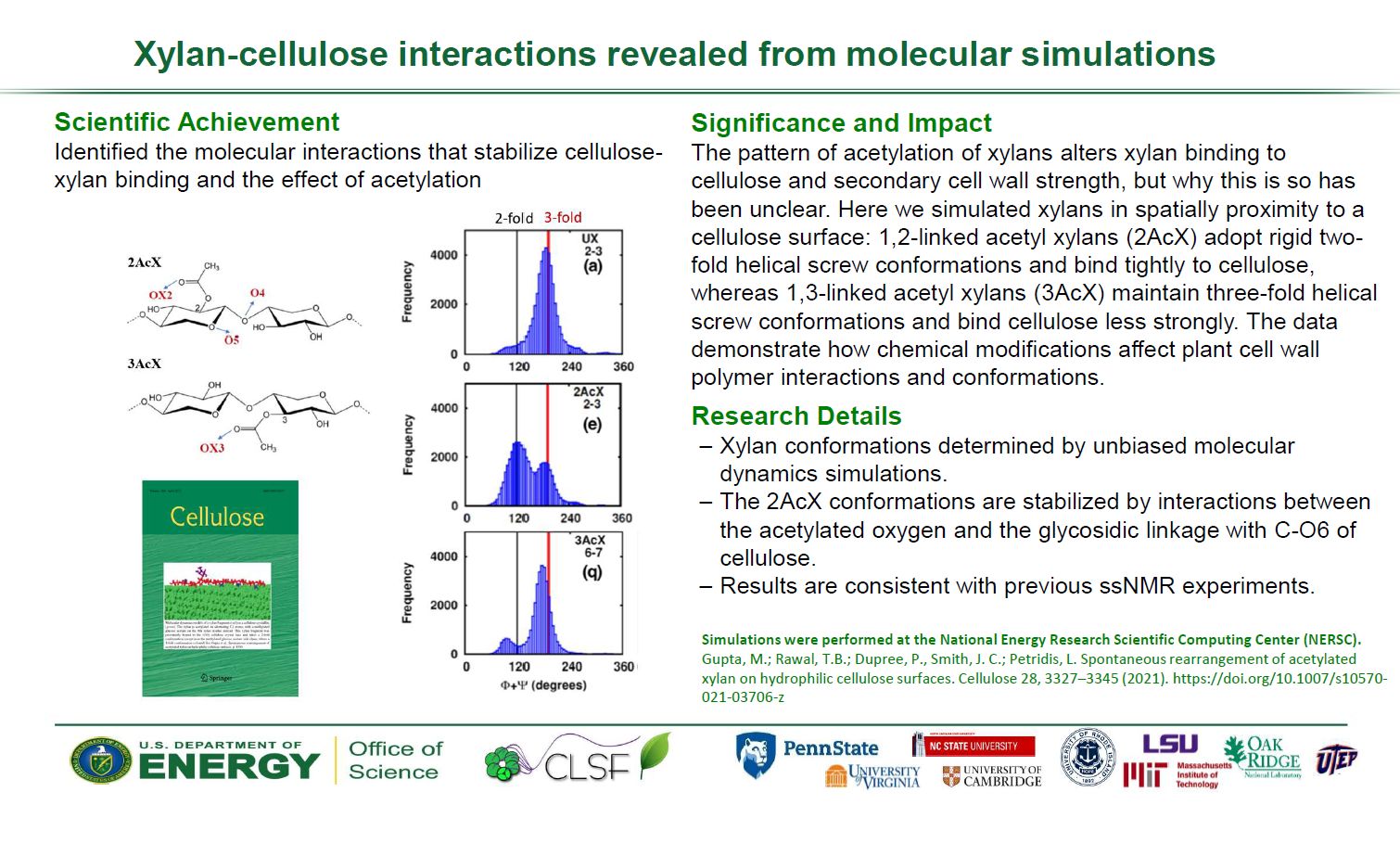 CLSF collaborative research from Petridis and Dupree of simulated xylan-cellulose interactions